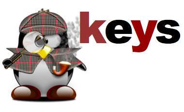 KEYS Logo